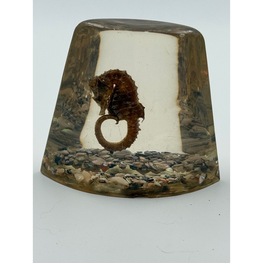 Vintage Seahorse Resin Paperweight Shells Abalone Nautical Decor